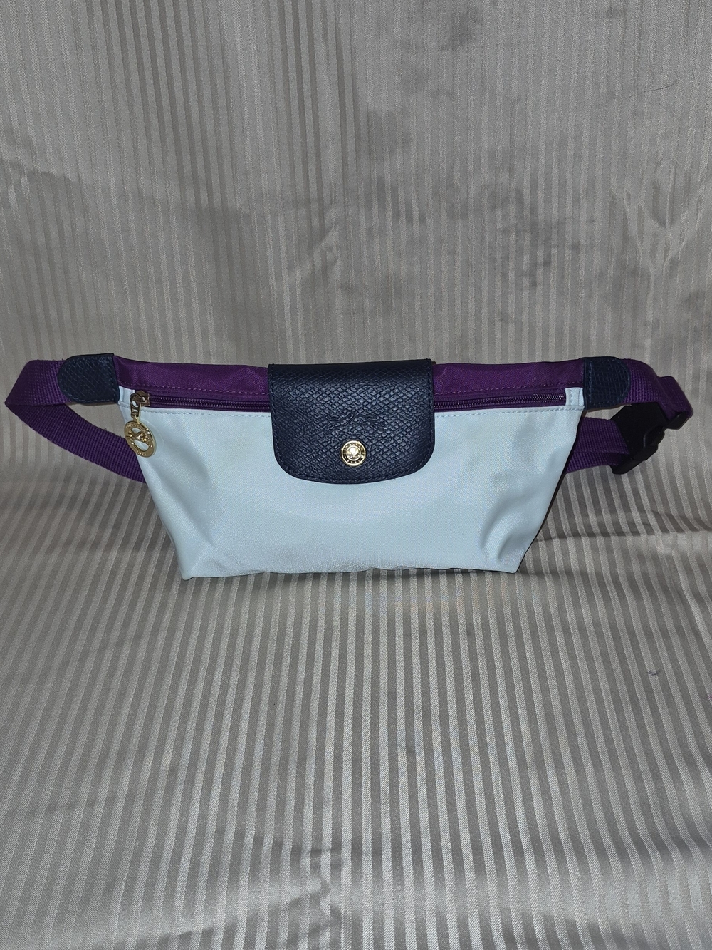 Longchamp Light Blue and Purple Crossbody Belt Bag with Navy Flap